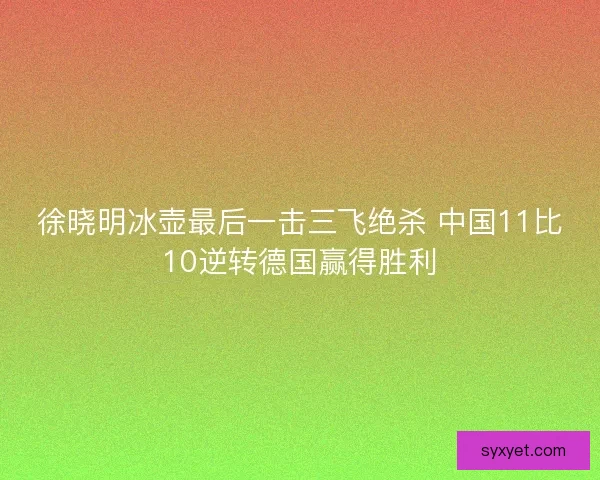 徐晓明冰壶最后一击三飞绝杀 中国11比10逆转德国赢得胜利